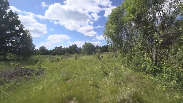 Нашли интересное место. смотреть онлайн