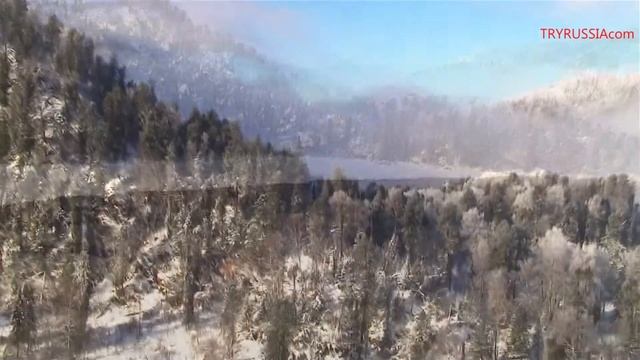 Наша Россия !!! (new) смотреть онлайн