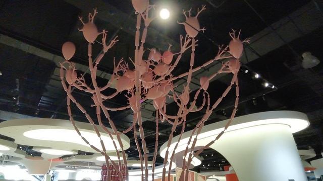 Модель нервов в музее науки и техники г. Харбин (Китай)