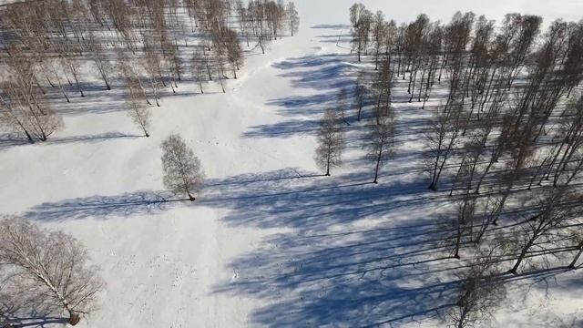 ☕ Мартовские полеты в лесу, провожаем зиму. смотреть онлайн