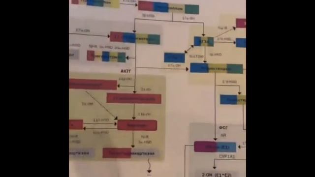 Ранний климакс. ЗГТ.