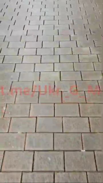 Патриотизм украинских беженцев в Германии, которые везде рисуют флаг своей страны. #апрель2022 смотреть онлайн