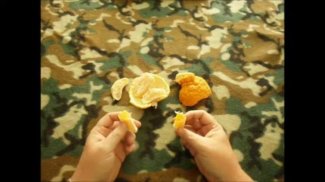 TASTE TESTING "SUMO MANDARIN" Weird Looking Fruit смотреть онлайн