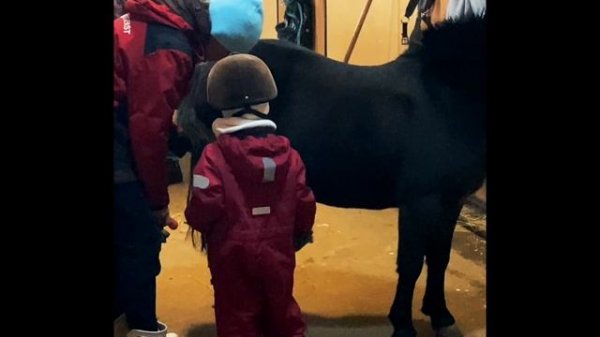 Пони клуб Казань