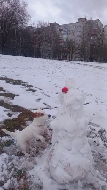 Тест на сообразительность.