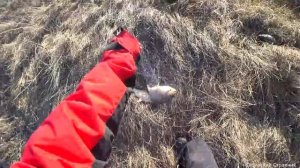 Рыбалка на подъёмник с берега