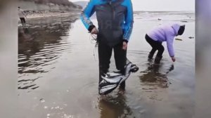 Приключения на рыбалке / целое море морепродуктов / Сахалин