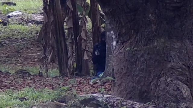 Airsoft Vlog 003: SILVERBACK SRS A2 - COMPOUND AIRSOFT GAMESITE смотреть онлайн