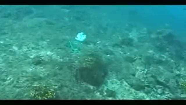 Стреляем метко.mpg смотреть онлайн