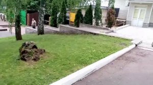 Санаторий Дубрава в Орловской области.