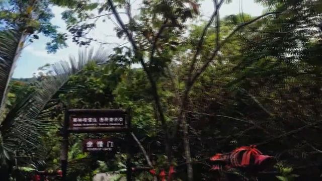 Янода смотреть онлайн