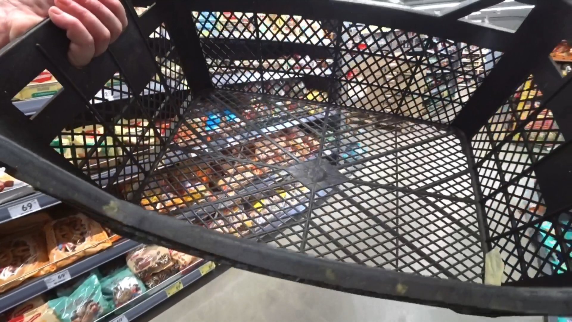 В садовом центре. Зачем сажать если можно купить. Есть добрые люди ! смотреть онлайн