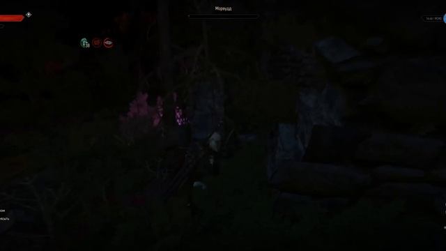 🏆 The Witcher 3 [ 20 ЛВЛ ] trophy трофей Fiend or Foe? / Друг или враг? (Секретный) #38 смотреть онлайн
