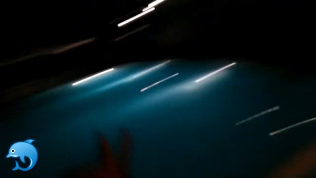 Отель Корона в Болгарии смотреть онлайн