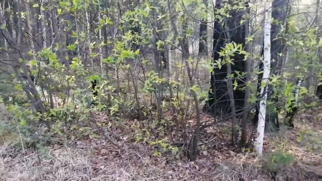 за металлом с тёркой 705 на старые места ... смотреть онлайн