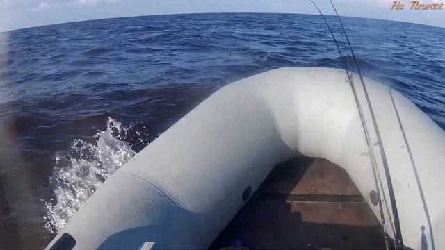 Рыбалка на озере Ильмень смотреть онлайн