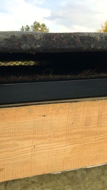 Фрактал Хаус мини - Современные дома строятся без конд смотреть онлайн