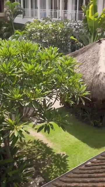 О том, как на Бали в сёрф-кемпе живут 😎🏄♀️ #серфинг #бали #surf #школасерфинга #серфкемп #сёрф смотреть онлайн