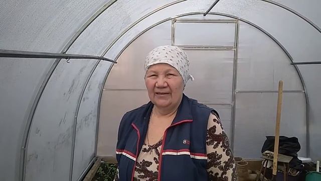 Очередная партия томатов высажена в Новую теплицу 05 04 2020 смотреть онлайн