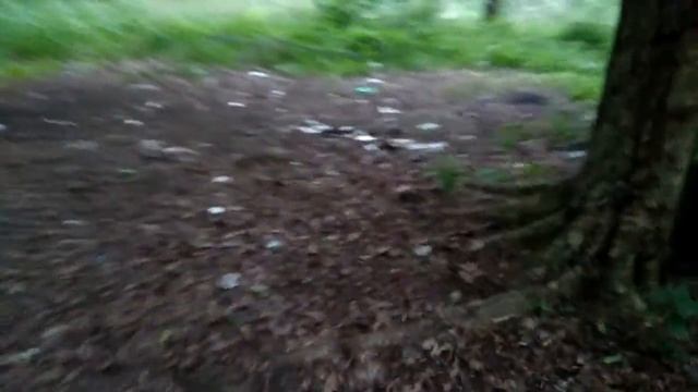 Парковая зона, мусорка, лес смотреть онлайн