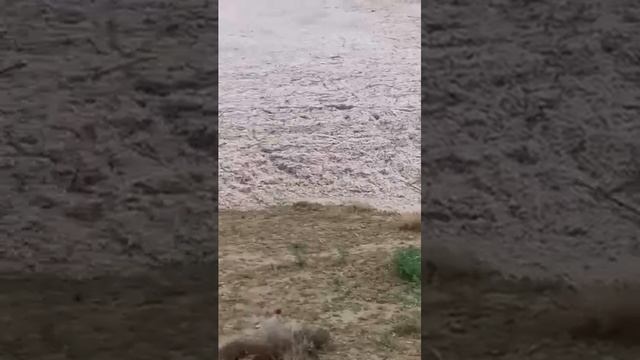 Пенджикент сел дож 5 апреля 2023 г. смотреть онлайн