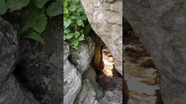 14 июля 2022 г. смотреть онлайн