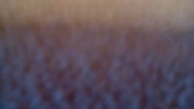 Моя коллекция черепашек ниндзя смотреть онлайн