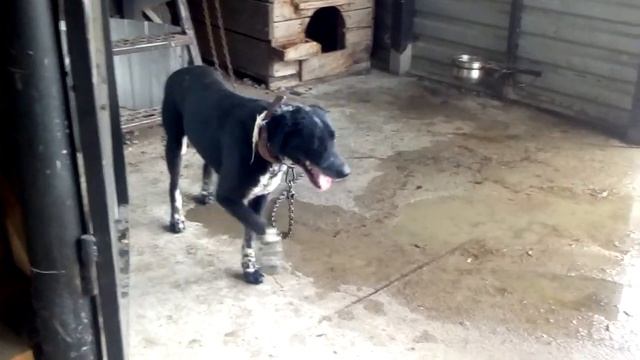 Скиф и дождь смотреть онлайн