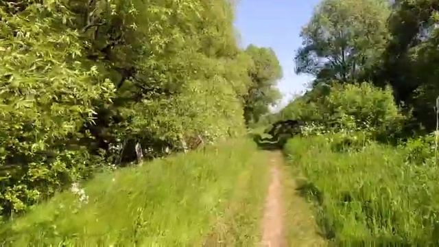 Наша дорога к озеру для занятий йогой на Стройной Ассамблее в Переславле смотреть онлайн