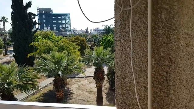 ДОБРОЕ СОЛНЕЧНОЕ УТРО НА КИПРЕ🤗💞 смотреть онлайн