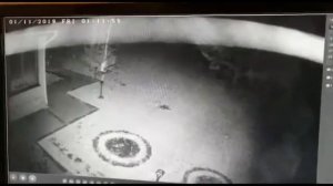 ВСЕ ВИДЕО УБИЙСТВА ЭКС-МЭРА КИСЕЛЁВСКА ЛАВРЕНТЬЕВА С.С.