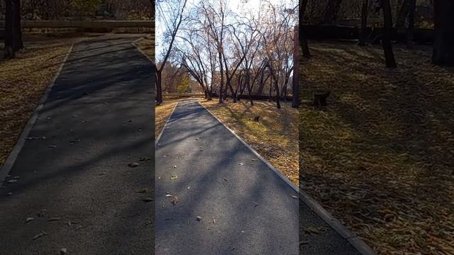 Осенний парк🍁🍃🍂 смотреть онлайн