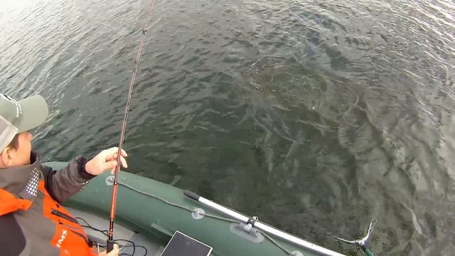 Pontoon21 GAD HARRIER HRS702MMHF и Deps Balisong 130SP в работе ;) смотреть онлайн