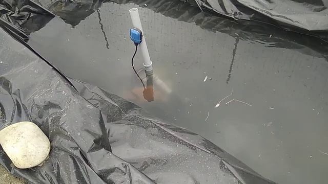 Пруд своими руками смотреть онлайн