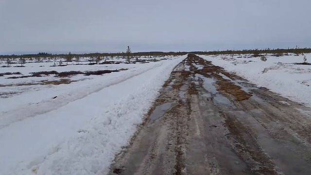 По болоту на месторождение.Ненормативная лексика присутствует. смотреть онлайн