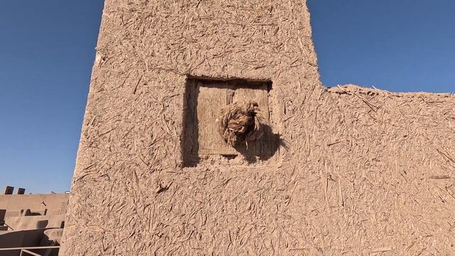 Иран фототур 2023, вторая серия смотреть онлайн