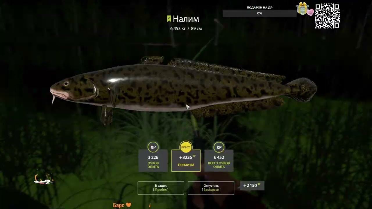 Дневной Стрим) ▶Русская рыбалка 4 / PP4