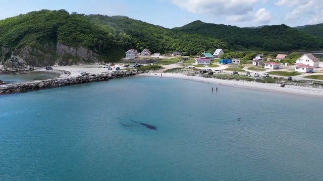 4К Триозерье 2024, Лонгверсия смотреть онлайн