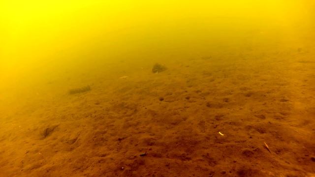 весенний окунь проснулся от зимний спячки смотреть онлайн