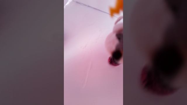малышки на даче🏡 2 сезон 2 серия смотреть онлайн