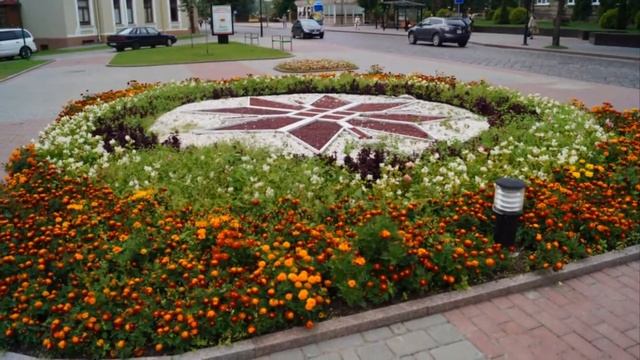 Дальний поход Гродно смотреть онлайн