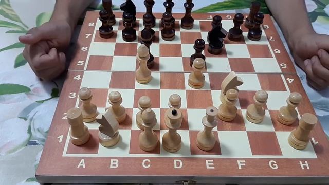 Учимся играть в шахматы смотреть онлайн