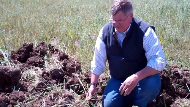 Cover Crop Mulching смотреть онлайн