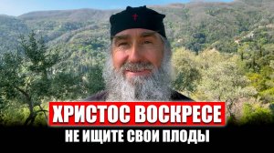 Христос Воскресе. Спасти нас может милость Божия, а не плоды.