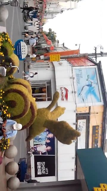 улица пешеходная г Хэйхэ магазин. Большой Хуафу смотреть онлайн