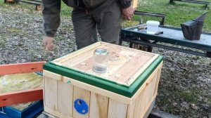 Смотрим засев трутня.