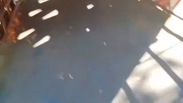 Парк Глобы. Днепр. Подсолнухи смотреть онлайн