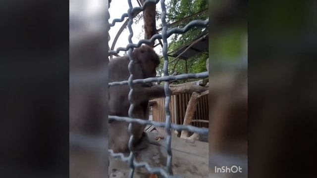 Парк миниатюр Бахчисарай смотреть онлайн