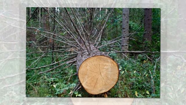 Красоты природы...HD смотреть онлайн