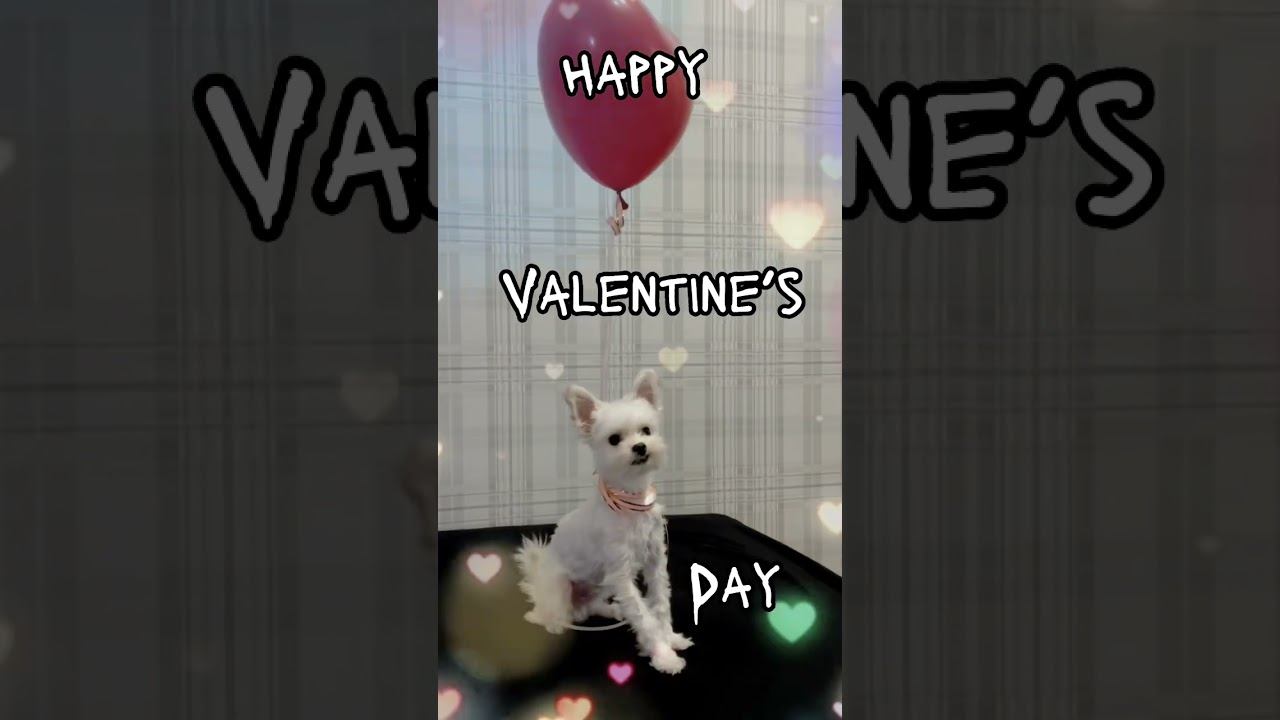 Happy Valentine’s Day смотреть онлайн